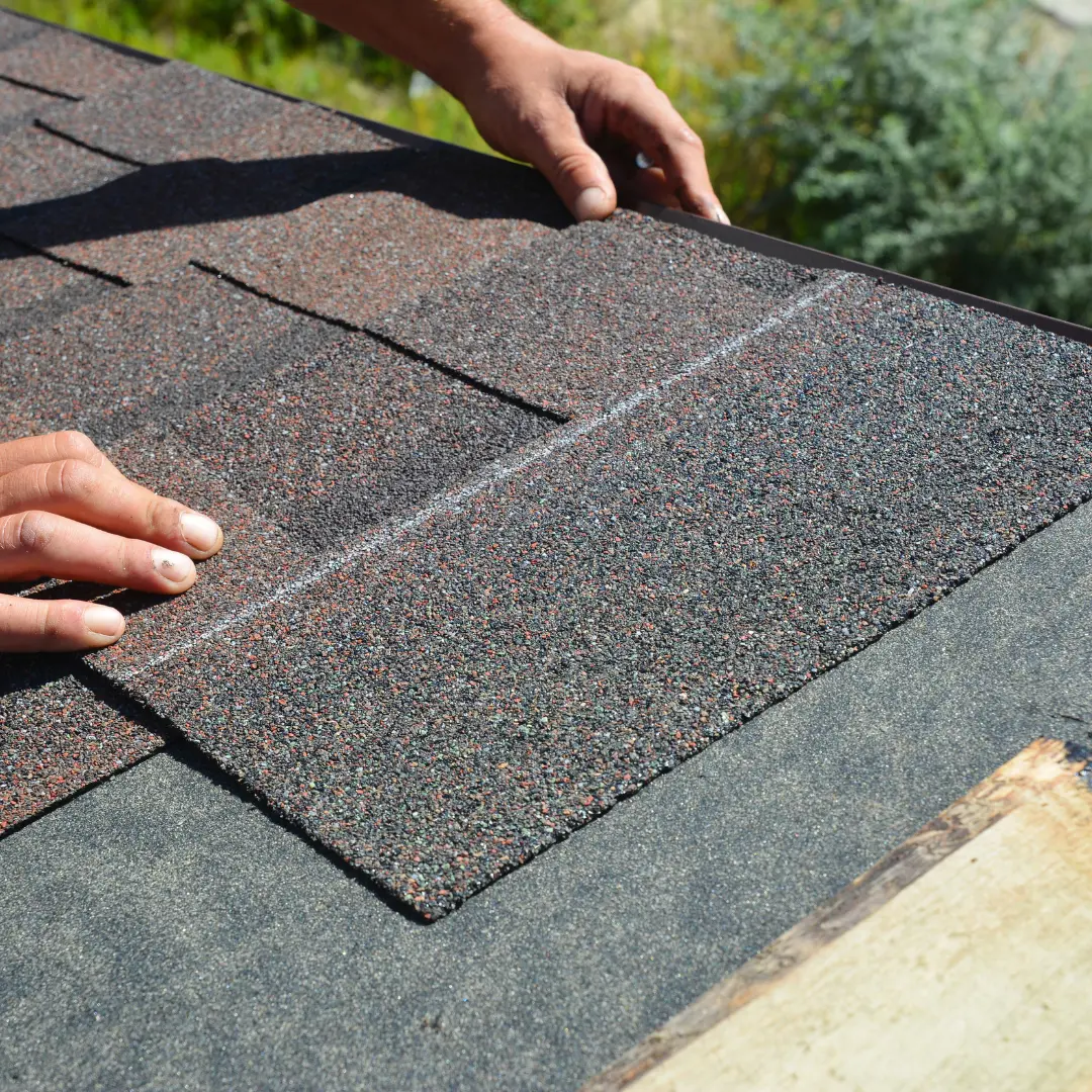 Roof 4